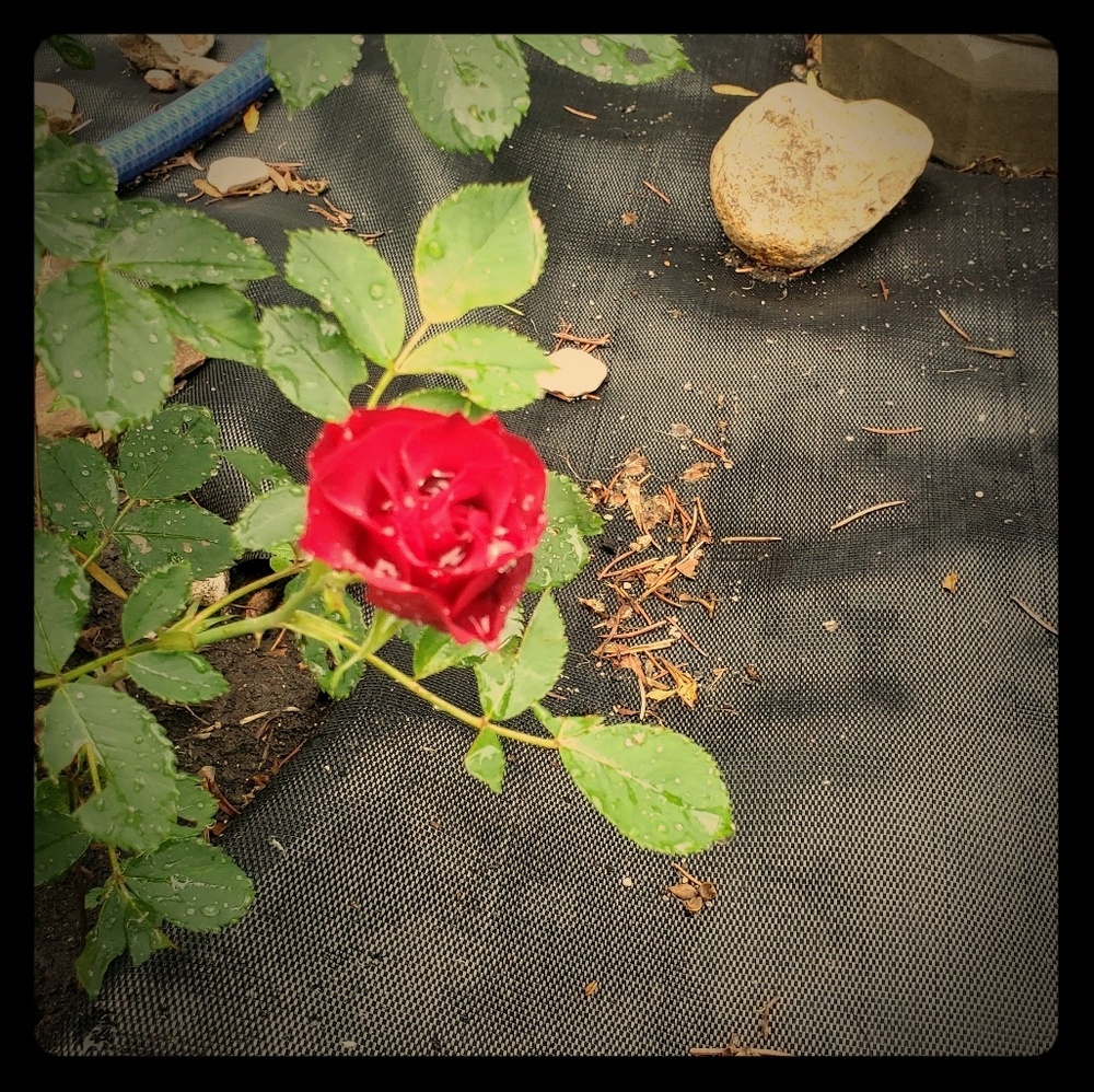 PLEASE MAKE OFFERS ON ALL AND DON'T BE AFRAID TO B